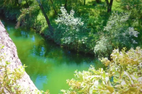 La Bénovie à Boisseron