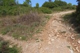 Sentier de la Fontanaride à Teyran