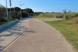 L'homme-oiseau à Port-Camargue