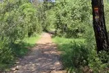 Bois de Lèque Saint-Jean-de-Cuculles