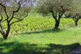 Valergues Tour de Farges Courbet