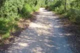 Castries Fondespierre Cadenet