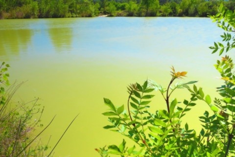 Lac Valinière Saint-Jean-de-Cornies