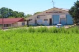 Vérargues vignes muscat