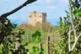 Aigues-Mortes tour de Constance