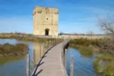 Aigues-Mortes Tour Carbonnière