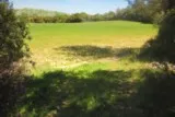 Saint-Drézéry Sussargues Hérault