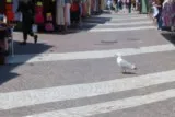 Le Grau du Roi Méditerranée